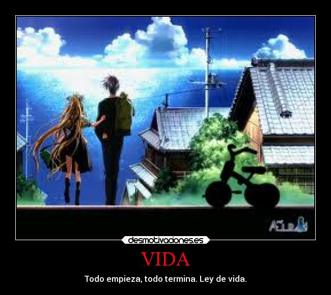 VIDA -
