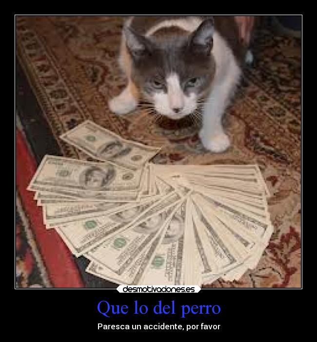 Que lo del perro - Paresca un accidente, por favor