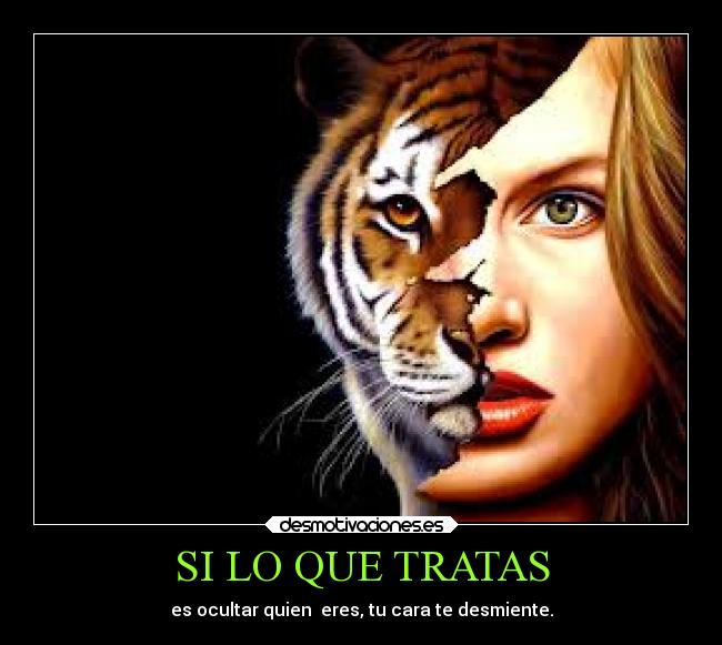 SI LO QUE TRATAS - 