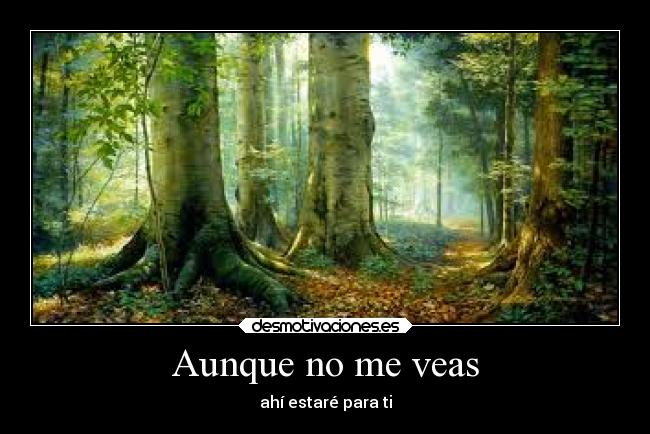 Aunque no me veas -