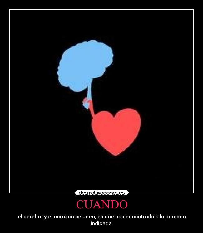 CUANDO - el cerebro y el corazón se unen, es que has encontrado a la persona
indicada.