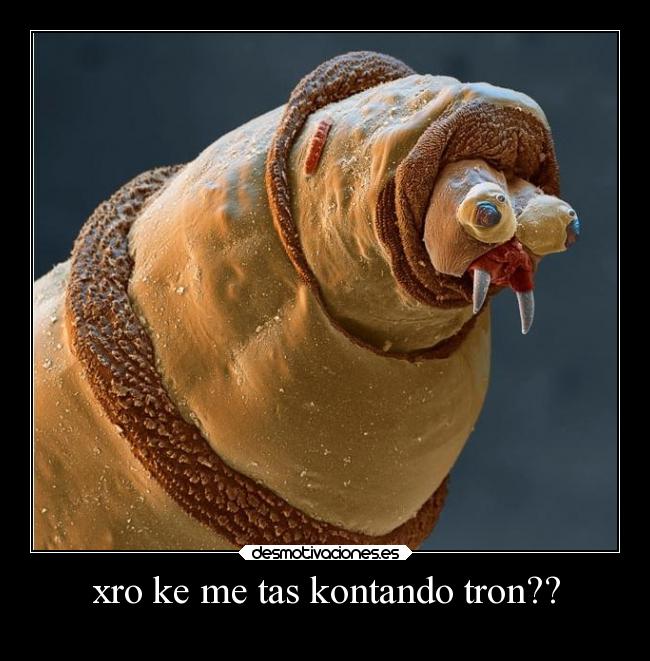 xro ke me tas kontando tron?? - 