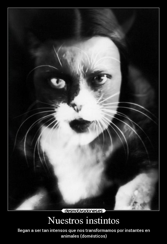 Nuestros instintos - llegan a ser tan intensos que nos transformamos por instantes en
animales (domésticos)
