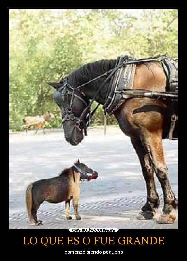 LO QUE ES O FUE GRANDE -