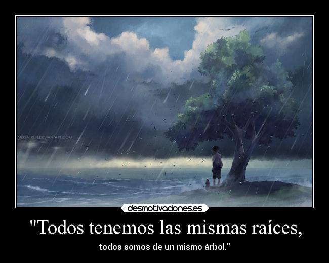 Todos tenemos las mismas raíces, -