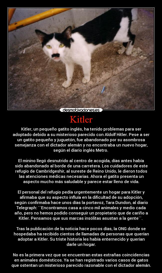 Kitler - 