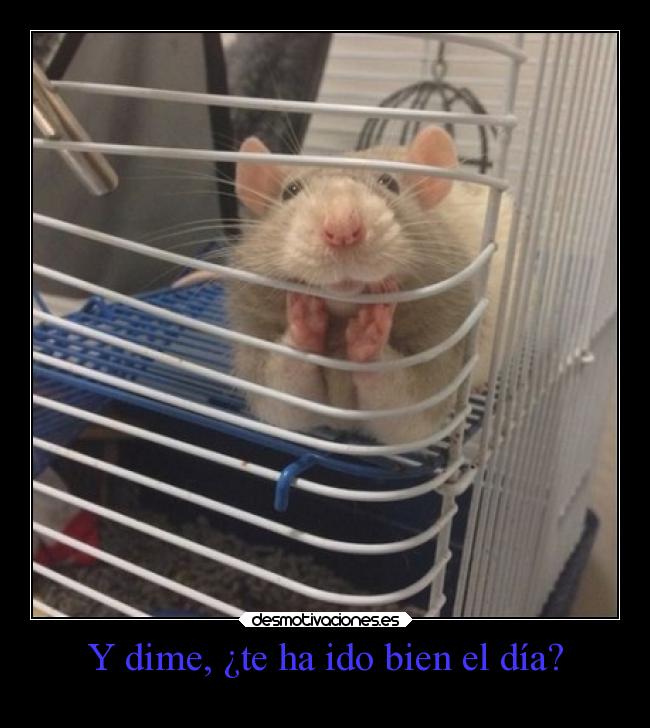 Y dime, ¿te ha ido bien el día? -