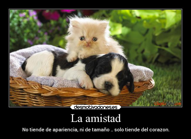 La amistad -