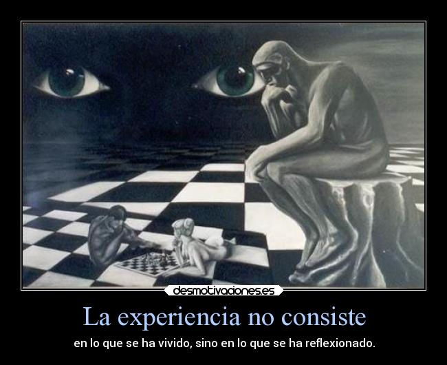 La experiencia no consiste -