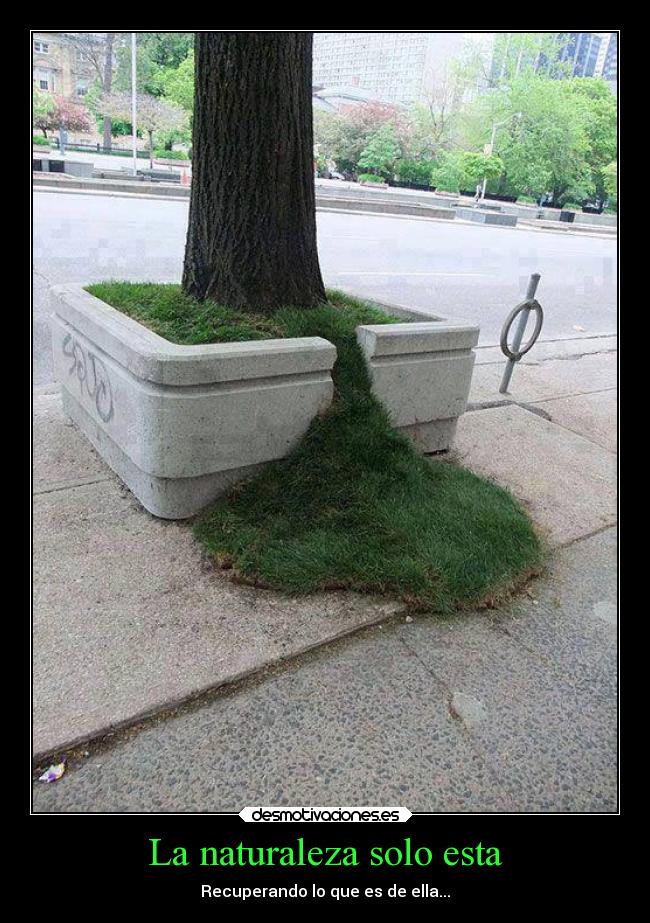 La naturaleza solo esta - Recuperando lo que es de ella...