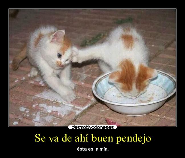 Se va de ahí buen pendejo -