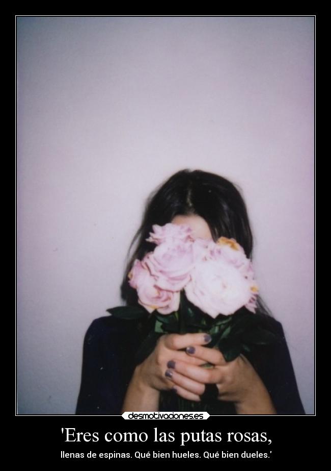 Eres como las putas rosas, - 