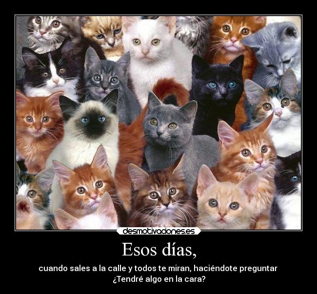 Esos días, - cuando sales a la calle y todos te miran, haciéndote preguntar
¿Tendré algo en la cara?
