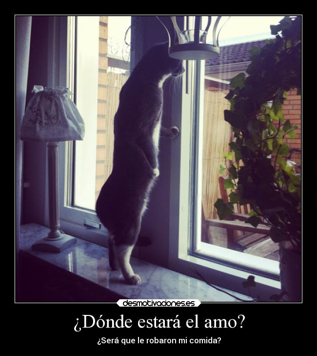 ¿Dónde estará el amo? - 