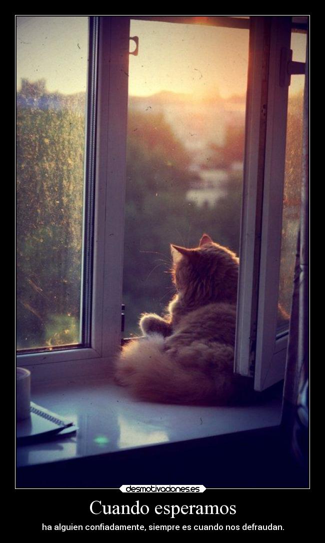 Cuando esperamos -
