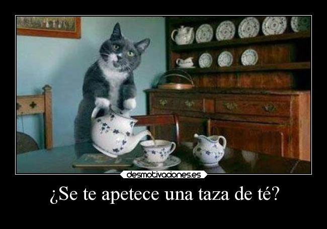 ¿Se te apetece una taza de té? - 