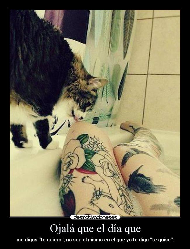 Ojalá que el día que - me digas te quiero, no sea el mismo en el que yo te diga te quise.