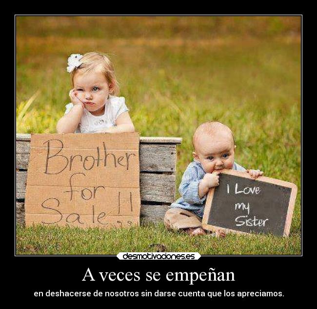 A veces se empeñan - en deshacerse de nosotros sin darse cuenta que los apreciamos.