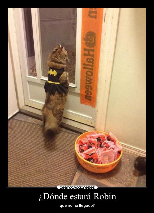 ¿Dónde estará Robin - que no ha llegado?