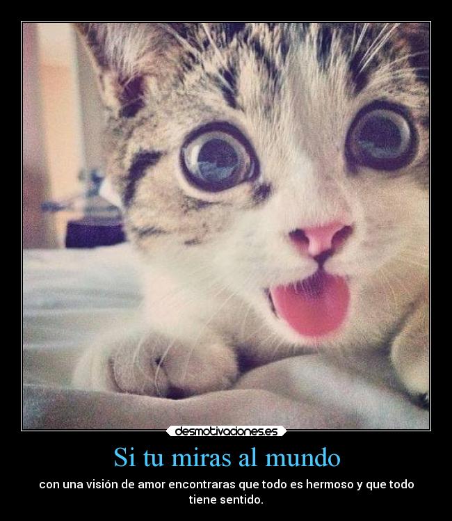 Si tu miras al mundo - 