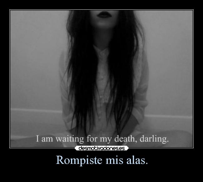 Rompiste mis alas. - 