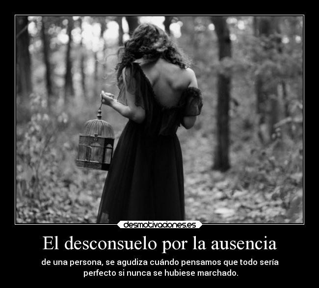 El desconsuelo por la ausencia - 