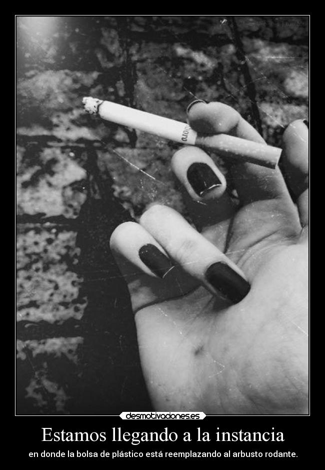 Estamos llegando a la instancia - en donde la bolsa de plástico está reemplazando al arbusto rodante.