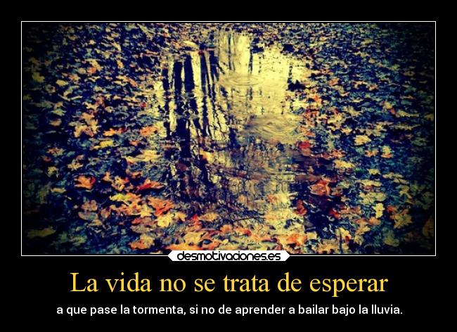 carteles vida lluvia desmotivaciones