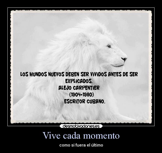 Vive cada momento - 