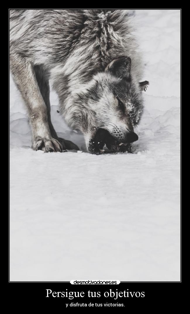 Persigue tus objetivos - y disfruta de tus victorias.