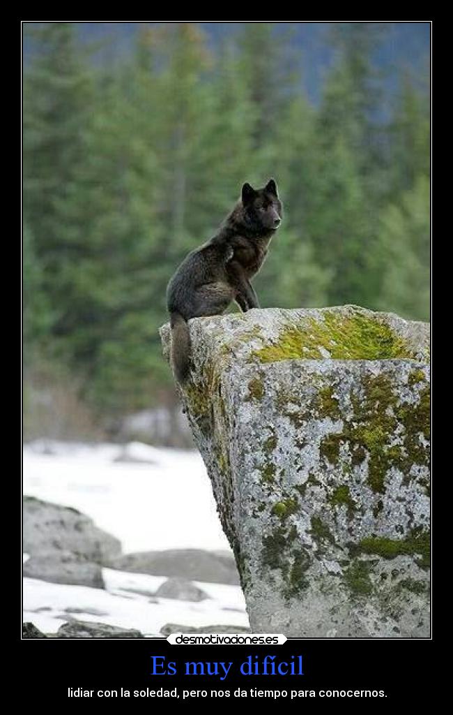 Es muy difícil - lidiar con la soledad, pero nos da tiempo para conocernos.