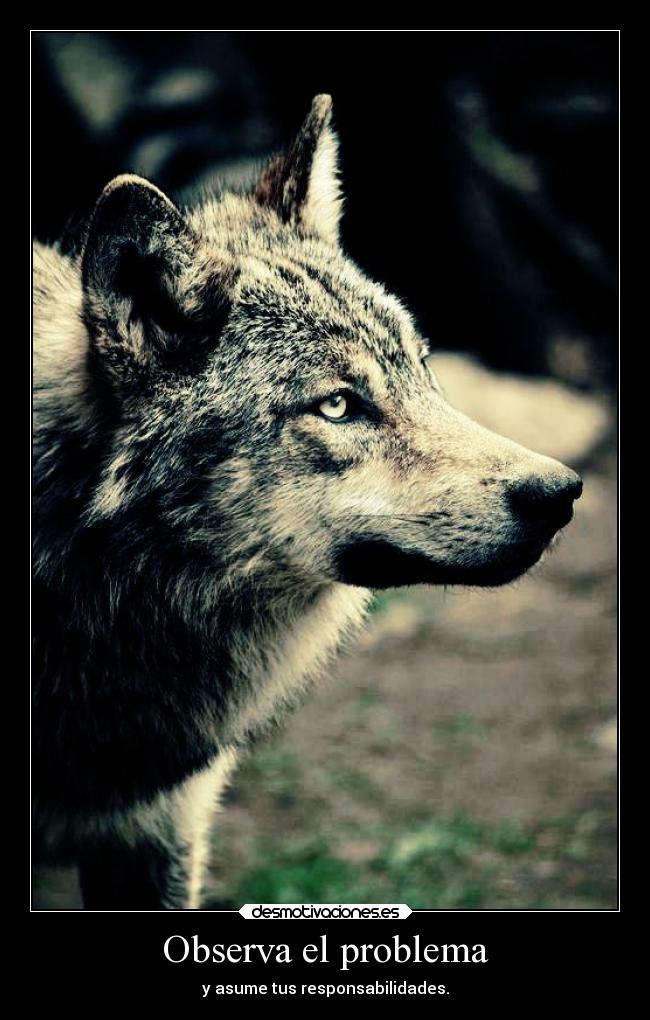 Observa el problema - y asume tus responsabilidades.