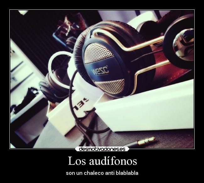 carteles musica audifonos chaleco blablabla serafin delfin desmotivaciones