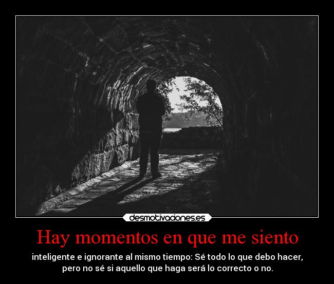 Hay momentos en que me siento - inteligente e ignorante al mismo tiempo: Sé todo lo que debo hacer,
pero no sé si aquello que haga será lo correcto o no.