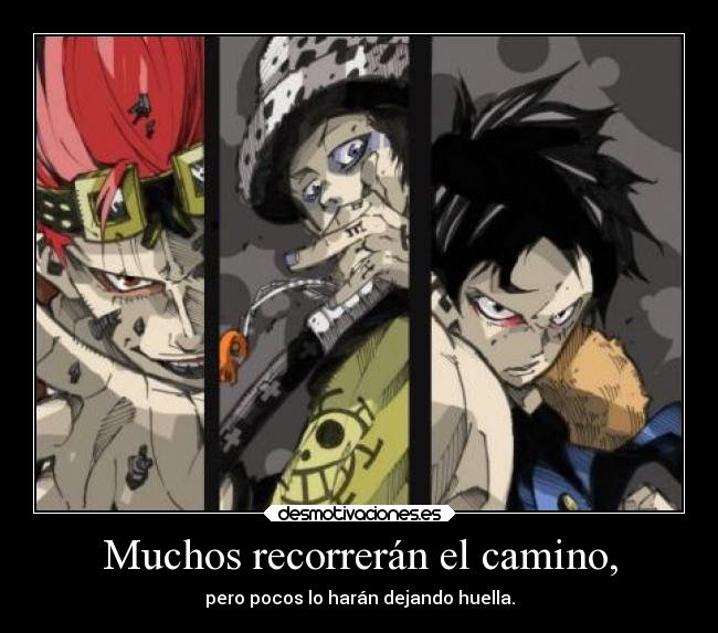 carteles one piece monkey luffy trafalgar law eustass kid grand line desmotivaciones