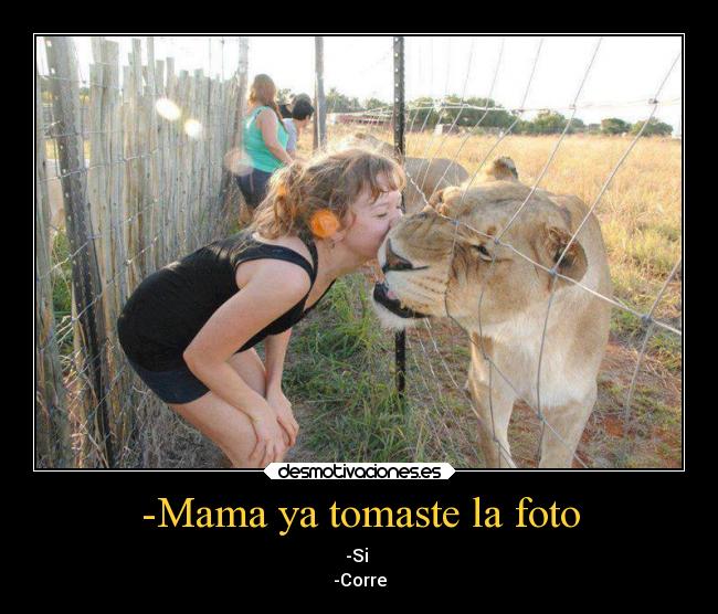 -Mama ya tomaste la foto - -Si
-Corre