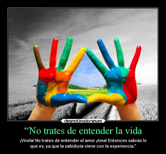 carteles vida vida devilbrigade kyrayagami desmotivaciones