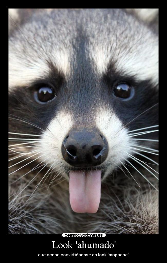 Look ahumado - que acaba convirtiéndose en look mapache.