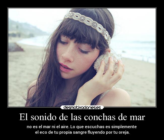 carteles dato curioso que parecio super interesante dannaconsentida desmotivaciones