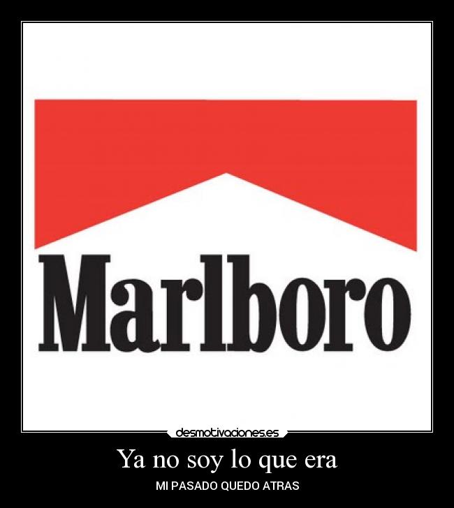 translate vato from spanish to english