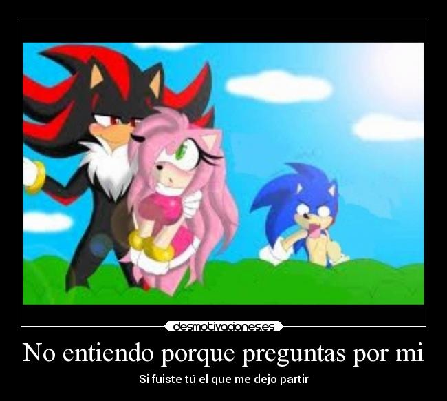 carteles shadamy jodete sonic por pendejo desmotivaciones