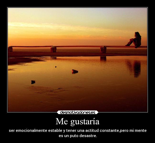 Me gustaría - ser emocionalmente estable y tener una actitud constante,pero mi mente
es un puto desastre.