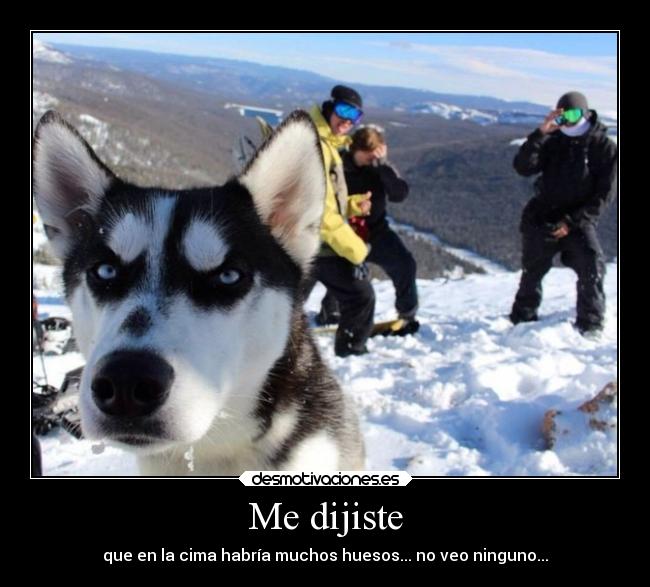 carteles hook perro cima montana husky huesos haaay desmotivaciones