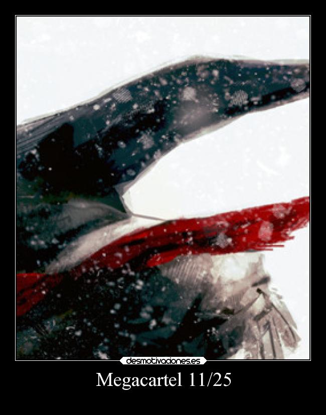 Megacartel 11/25 -