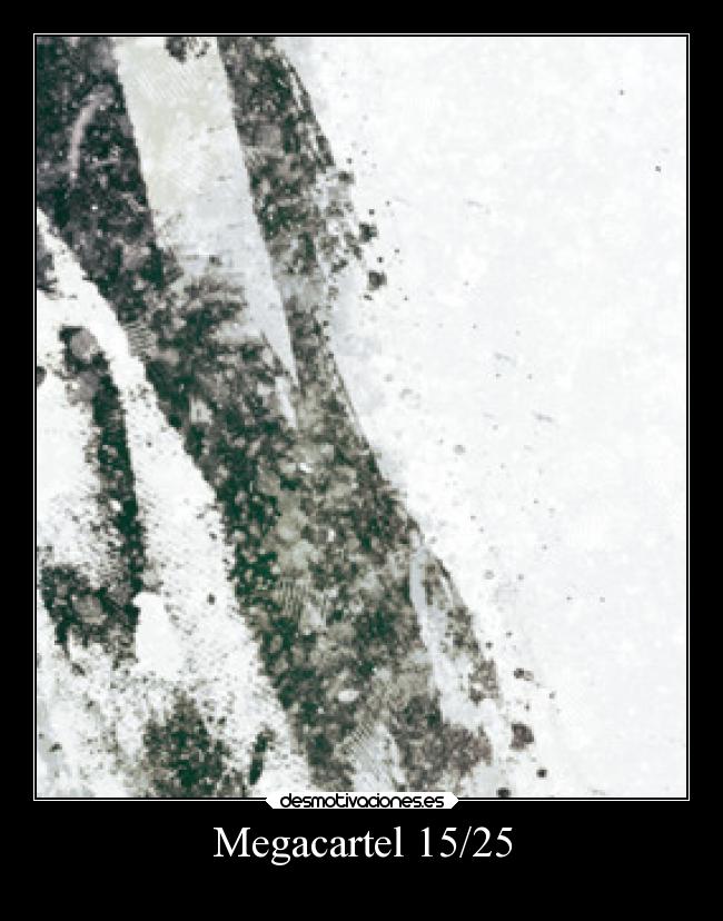 Megacartel 15/25 -