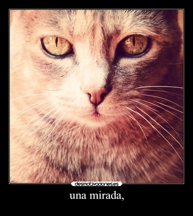 carteles megalosquenopuedeexplicarse desmotivaciones