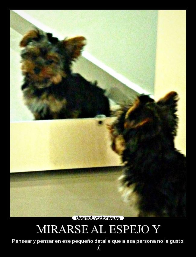 MIRARSE AL ESPEJO Y - Pensear y pensar en ese pequeño detalle que a esa persona no le gusto!
:(