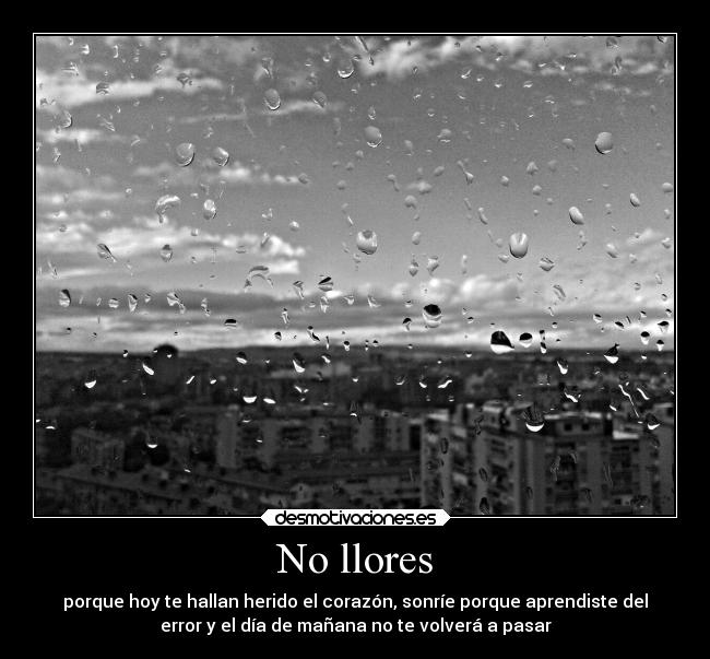 No llores - porque hoy te hallan herido el corazón, sonríe porque aprendiste del
error y el día de mañana no te volverá a pasar