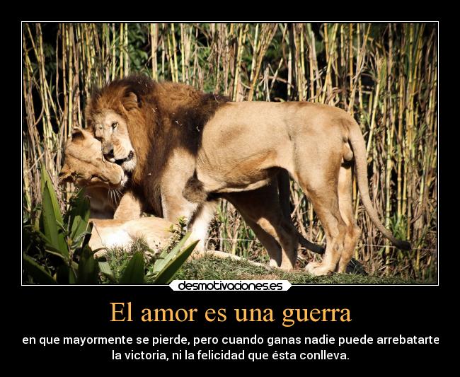 carteles amor guerra telyg ejercitodemar yahoramevuelvopokehipster buscolaexcepcionnolaregla desmotivaciones