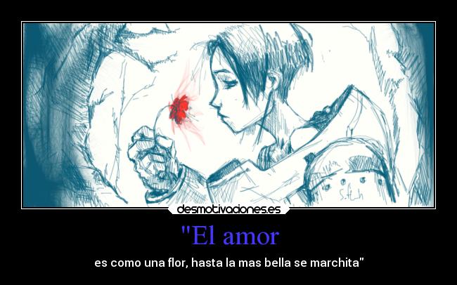 El amor -